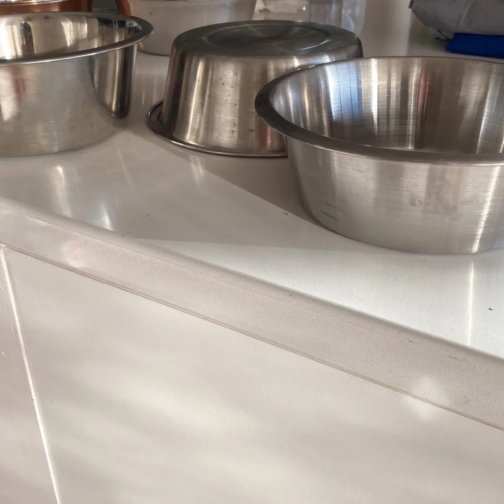 Stainless Steel Dog Bowls